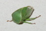 nature_website_11001058.jpg