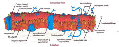 nature_website_11069016.jpg