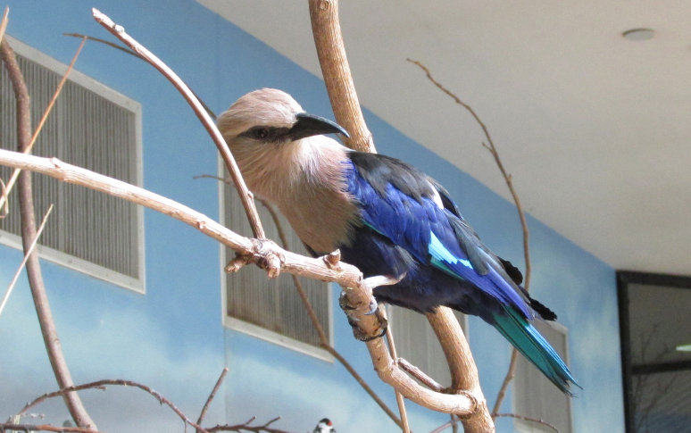 nature_website_11087005.jpg